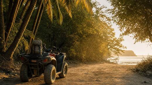 A quad ATV parked on a palm-lined beach access road.